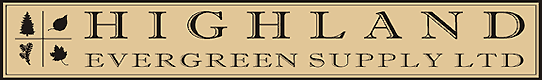Go to Highland Evergreen